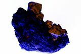 Fluorescent Zircon Crystals in Biotite Schist and Magnetite - Norway #228208-3